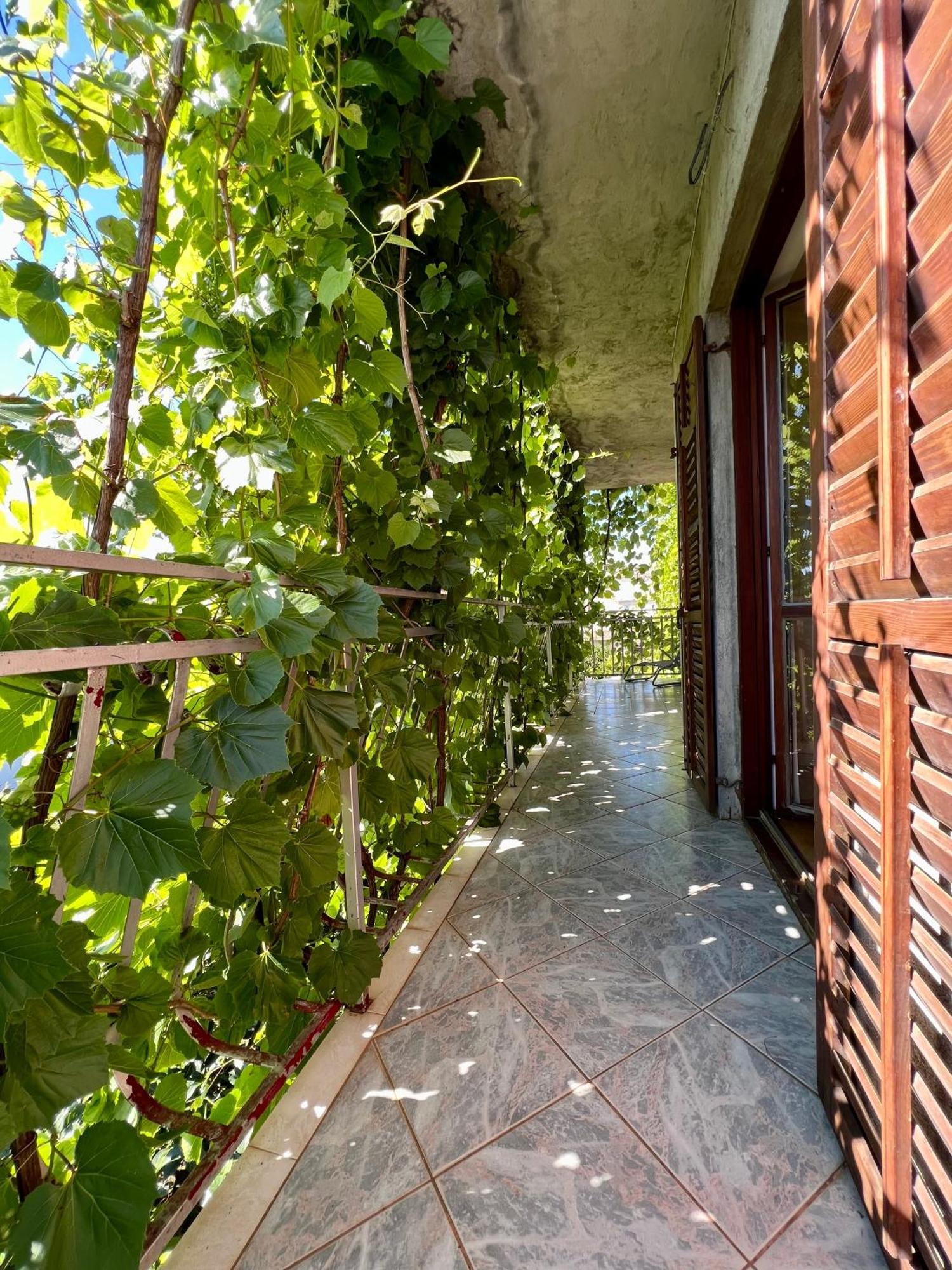 Vodice Center Apartments 部屋 写真